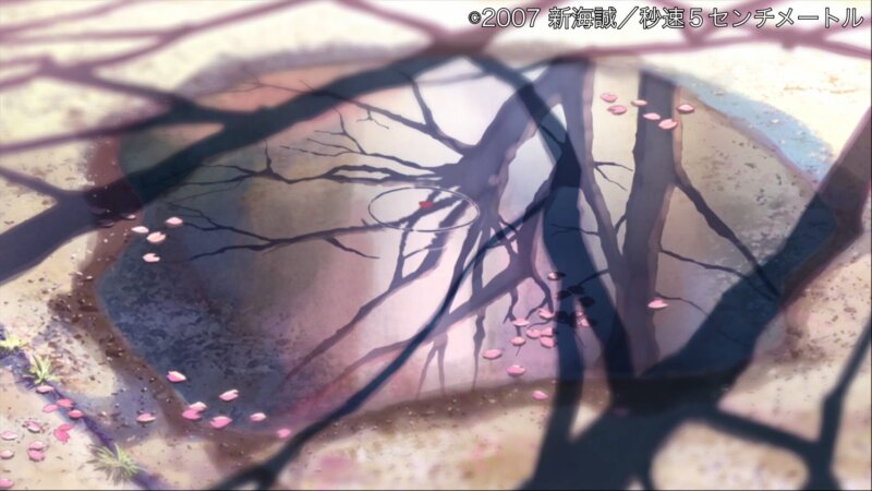 秒速５センチメートルの桜花抄、水たまりに映る桜の木